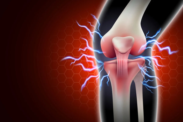 Hydratation et santé des articulations et des muscles : la clé pour rester actif et sans douleur