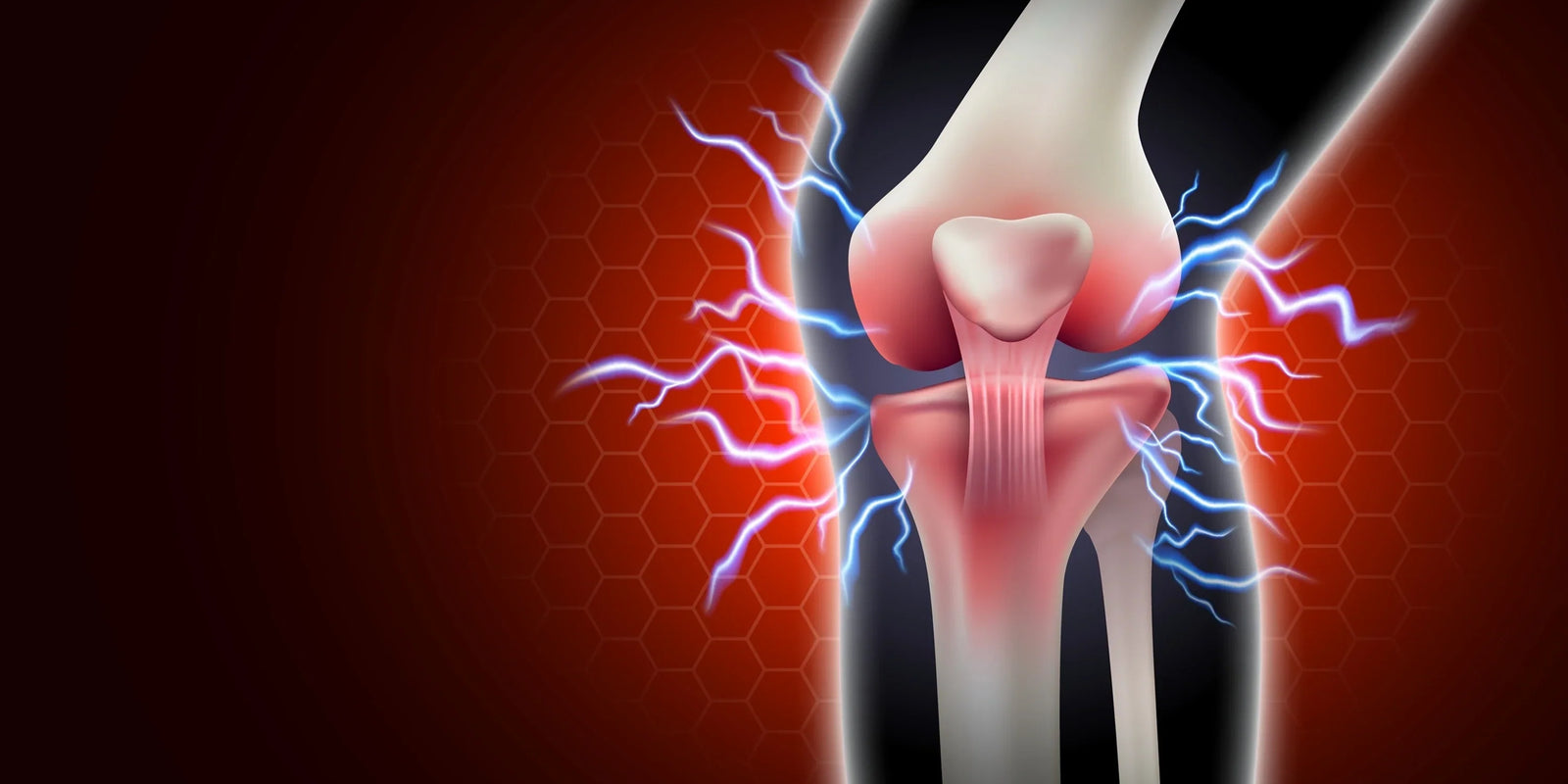 Hydratation et santé des articulations et des muscles : la clé pour rester actif et sans douleur