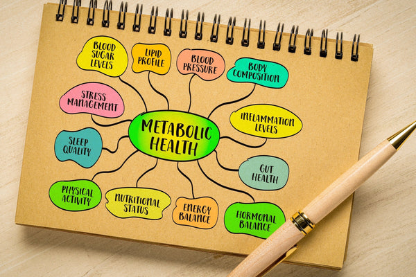 Hydratation, digestion et métabolisme : le lien essentiel