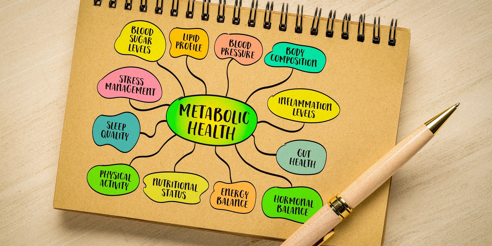 Hydratation, digestion et métabolisme : le lien essentiel